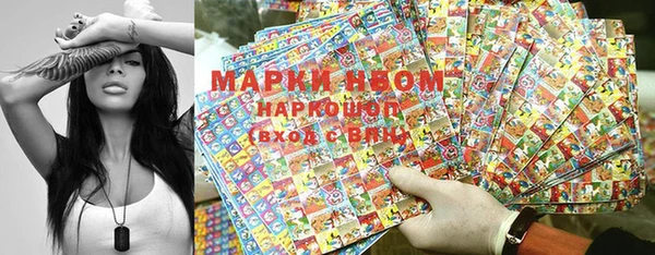 прущие грибы Абдулино