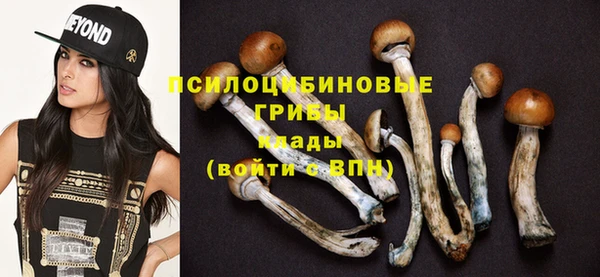 прущие грибы Абдулино