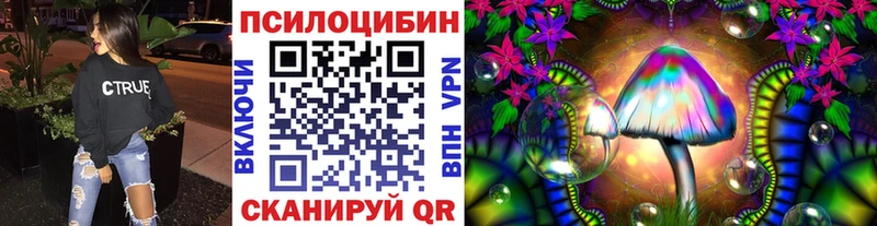 где можно купить   Сокол  Галлюциногенные грибы Psilocybe 