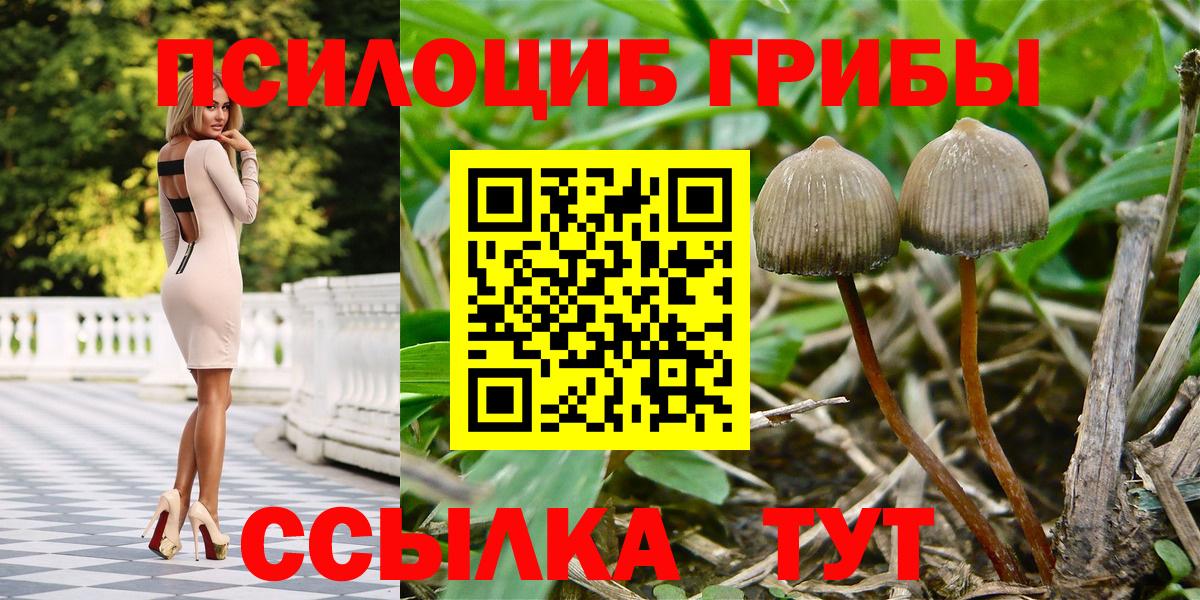 Галлюциногенные грибы мухоморы  Вход с VPN  Псилоцибиновые грибы MAGIC MUSHROOMS  Сокол 