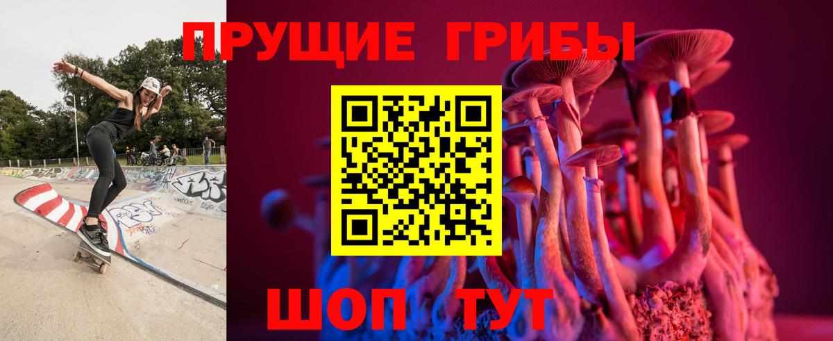 Псилоцибиновые грибы Cubensis Сокол